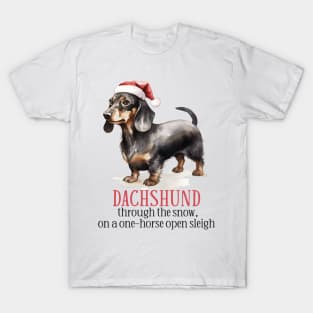 Christmas Dachshund Pun T-Shirt